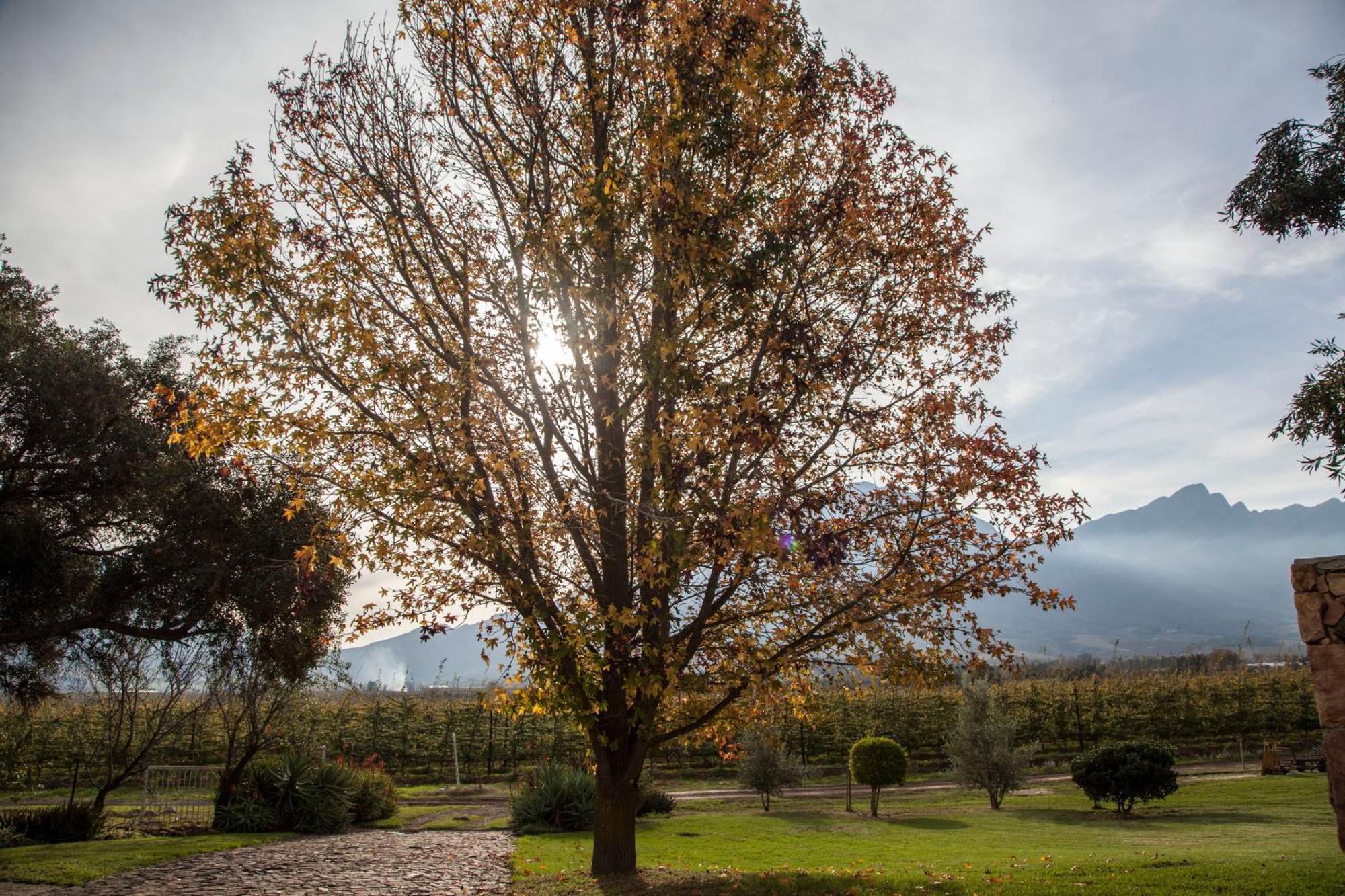 Bergsicht Country Farm Cottages Tulbagh Zimmer foto